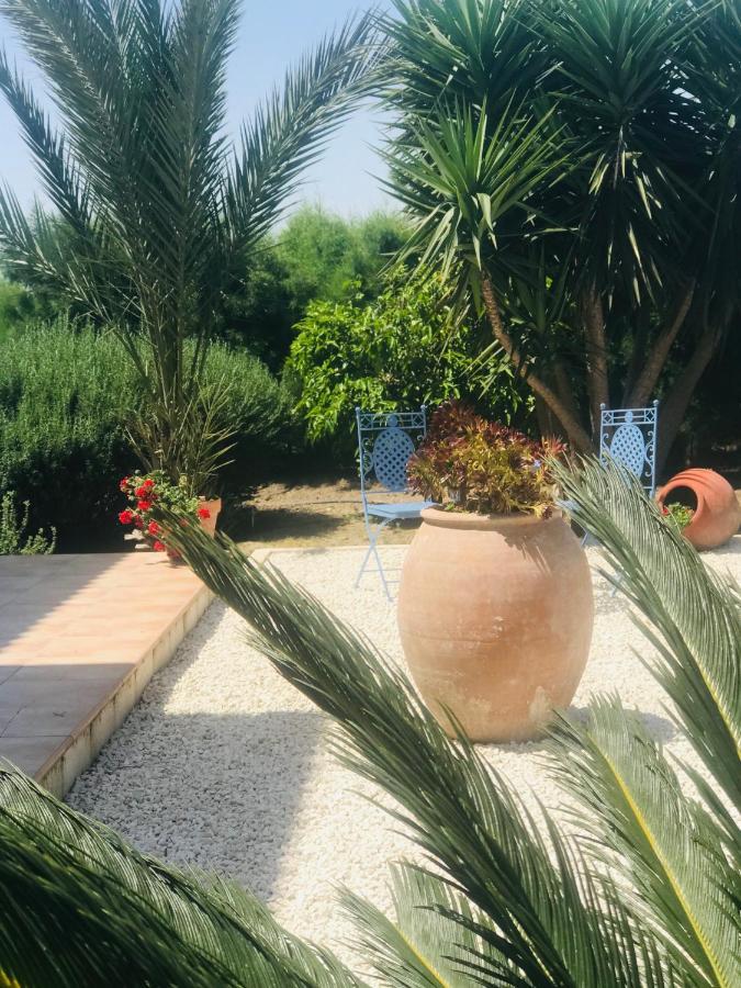 Villa Elia Bed And Breakfast Kiti Bagian luar foto