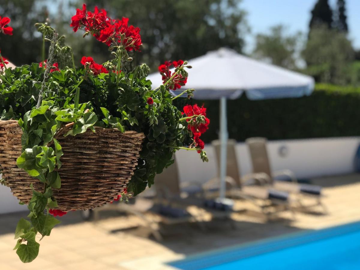 Villa Elia Bed And Breakfast Kiti Bagian luar foto