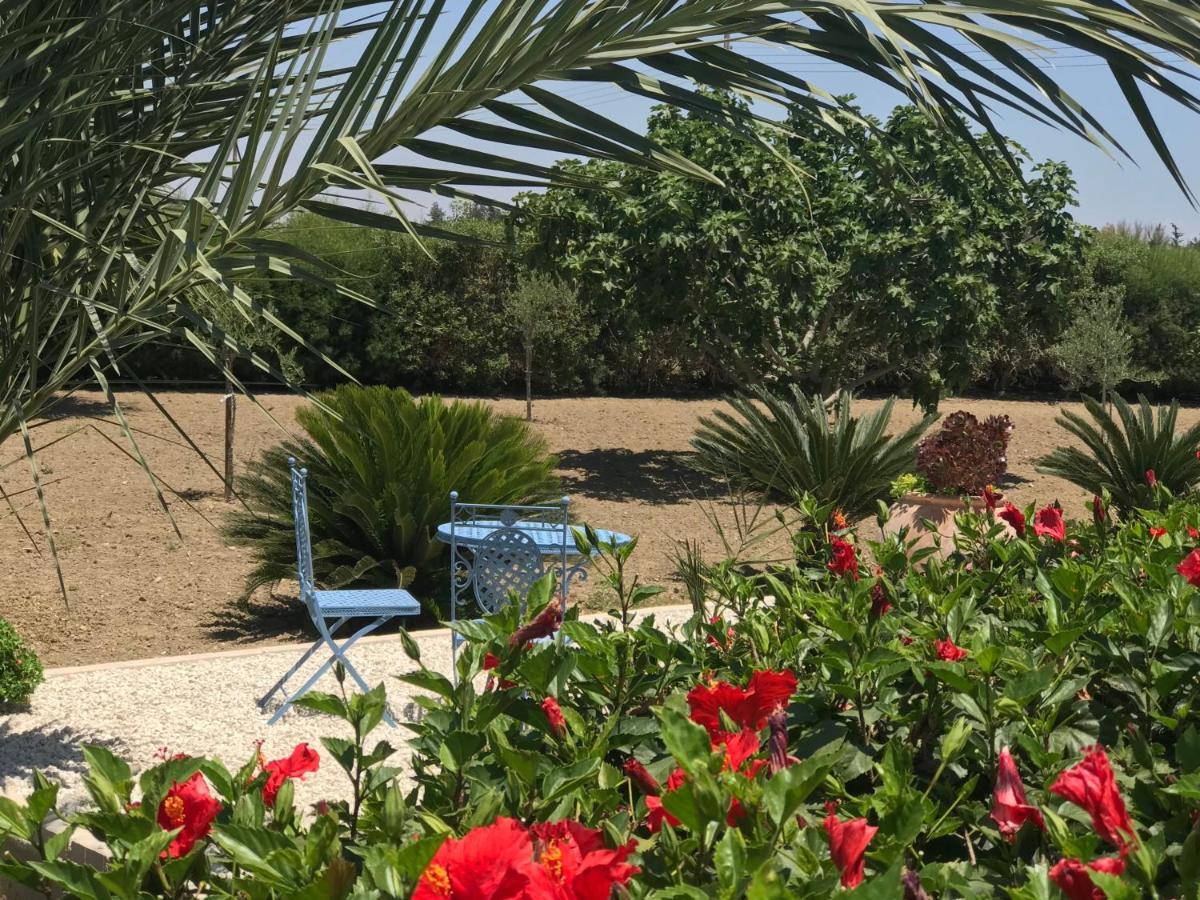 Villa Elia Bed And Breakfast Kiti Bagian luar foto